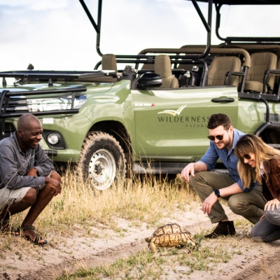 Eight Socially Distant Safari Experiences