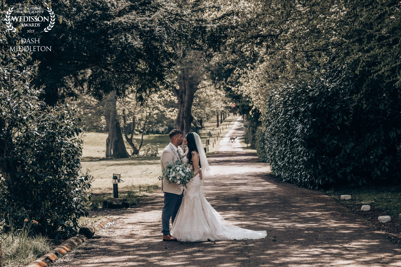 couple in wedding attire standing at end of gravel path surround by trees, deer in the back ground