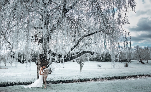 A bride and groom standing underneath a tree in the snow
