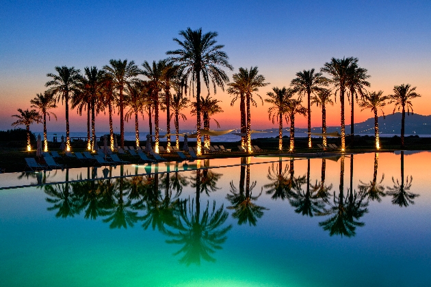 An infinity pool with palm trees in the background